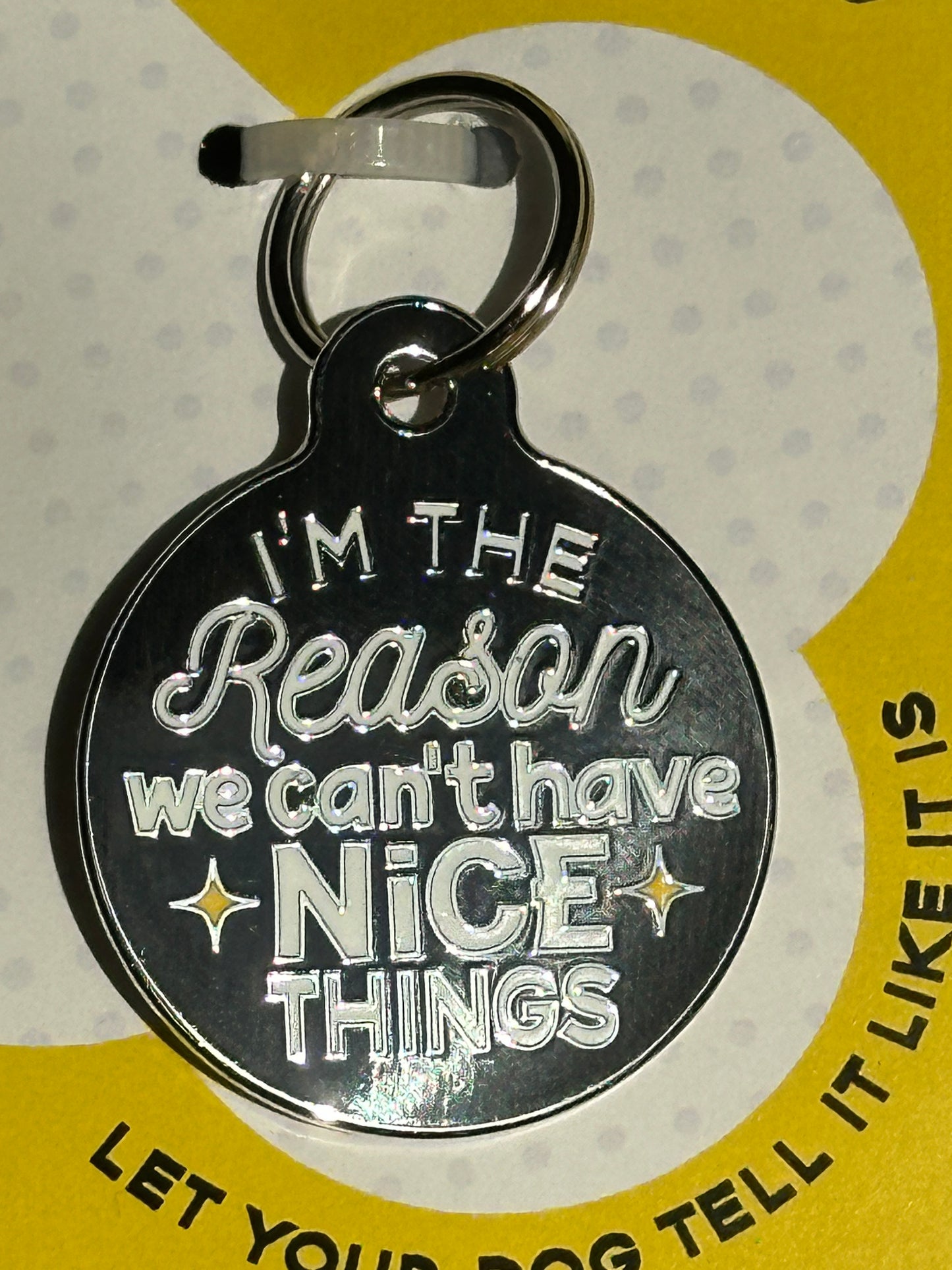 Can't Have Nice Things - Dog Collar Charm or Pet ID Tag: Collar Charm (blank backside) / Large 1.25"