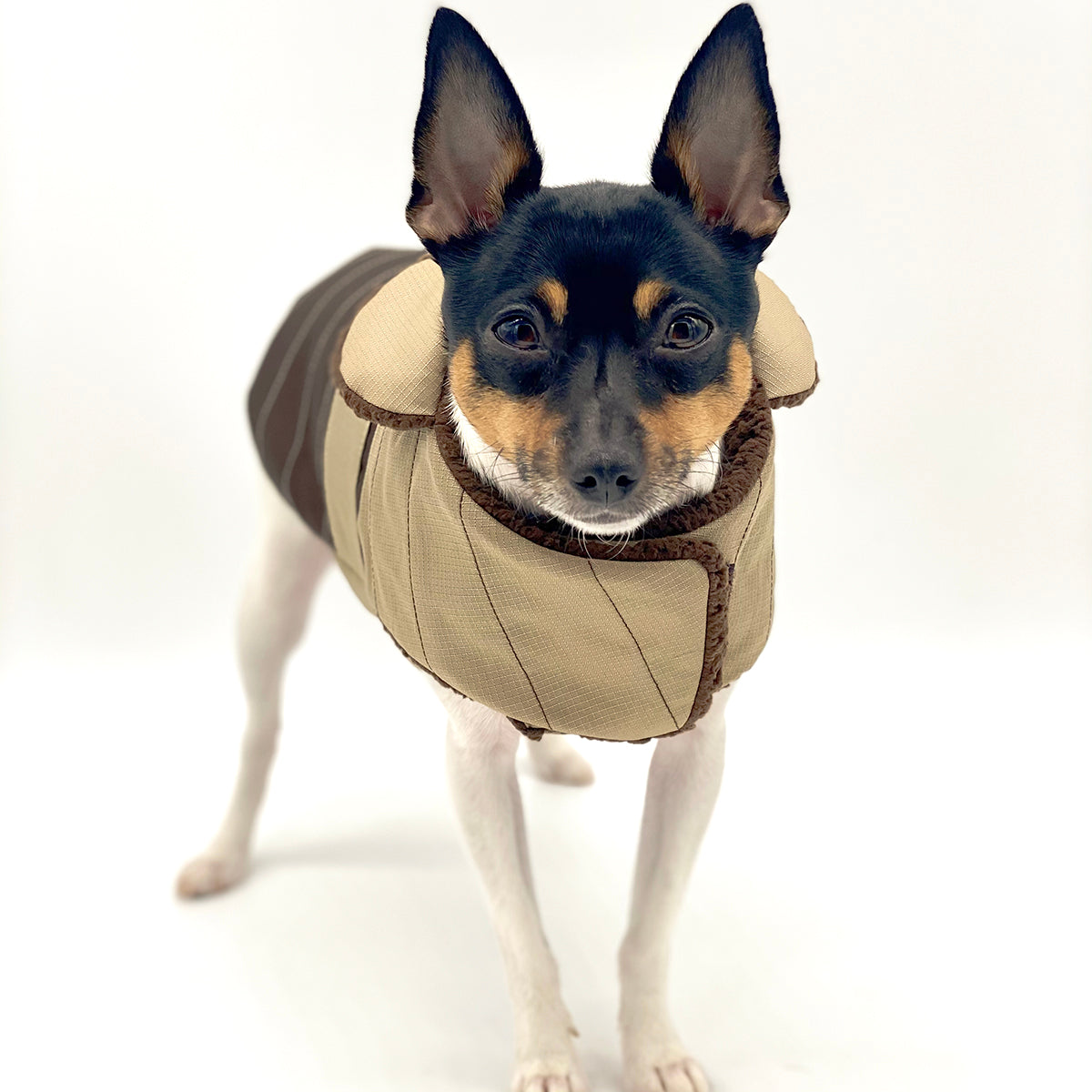 DoggieCoutureNY Water Resistant Brown & Tan Coat-3