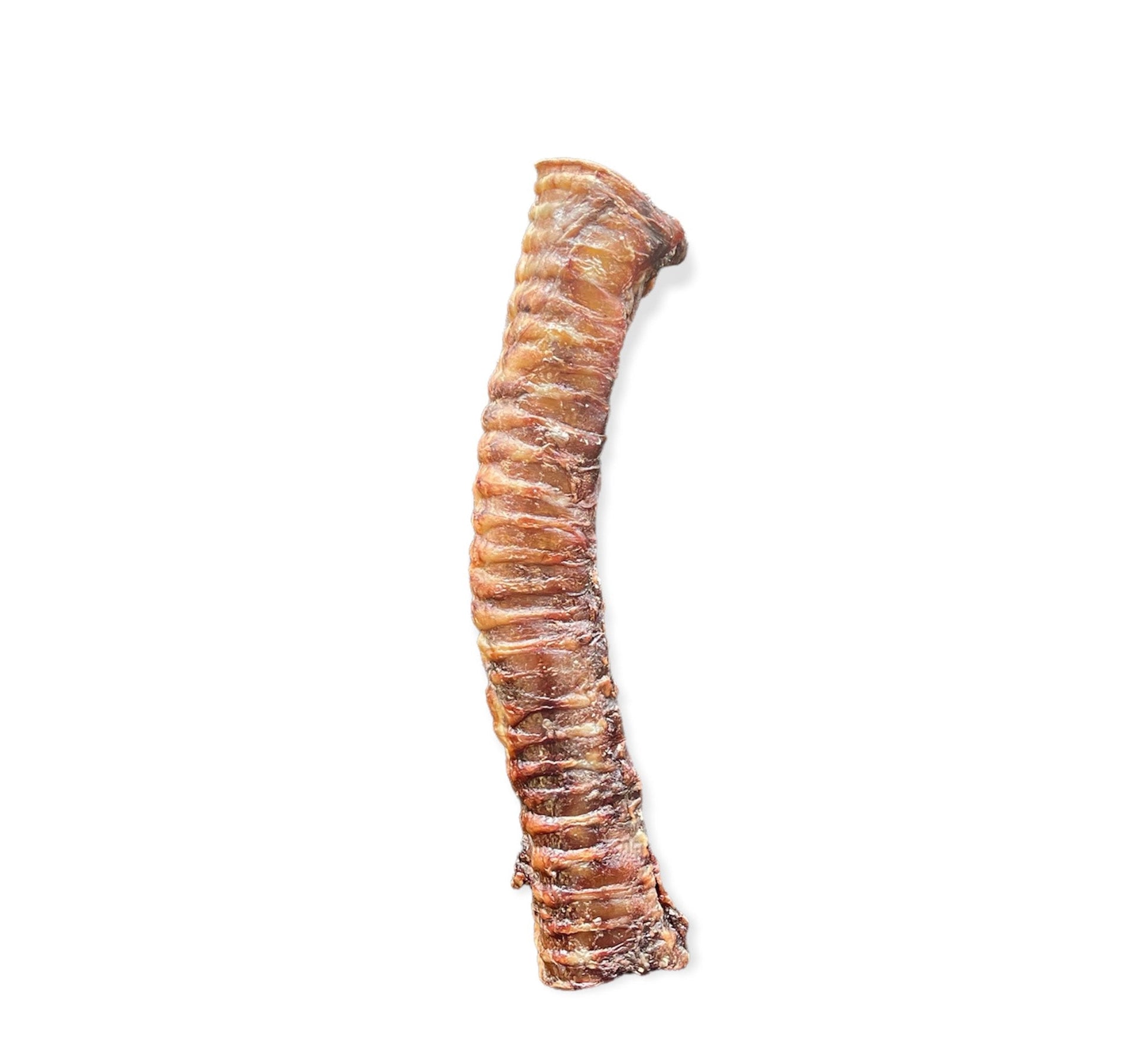 Beef Trachea-1