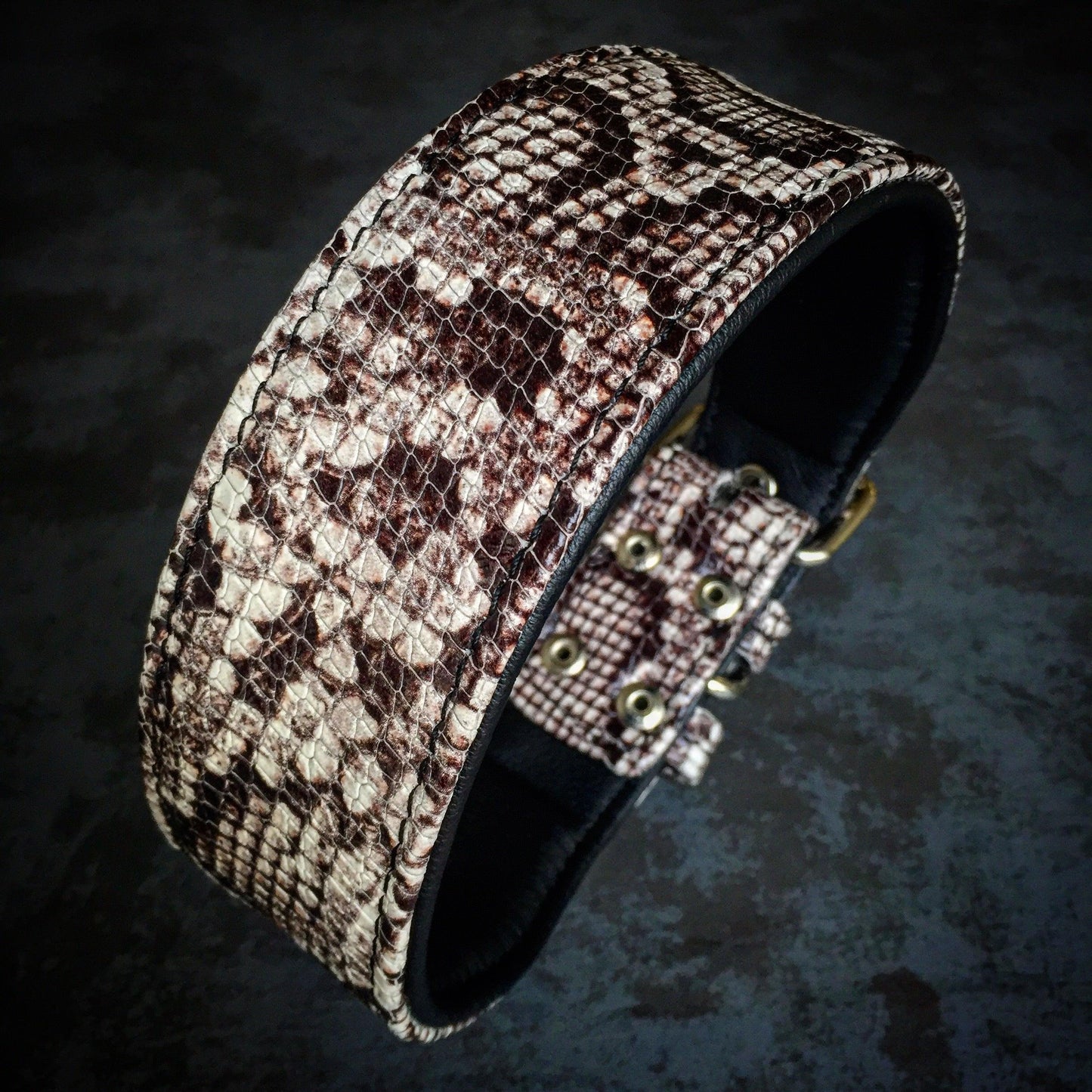 The ''Rock Python'' collar-1