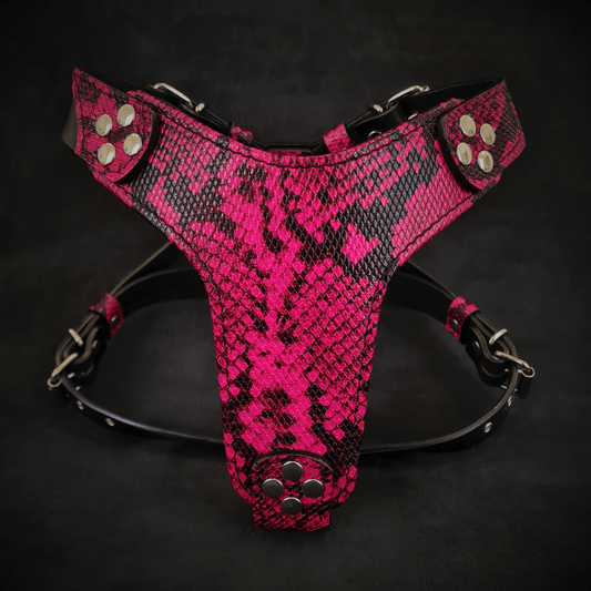 The ''Rock Python'' harness Small to Medium Size-0