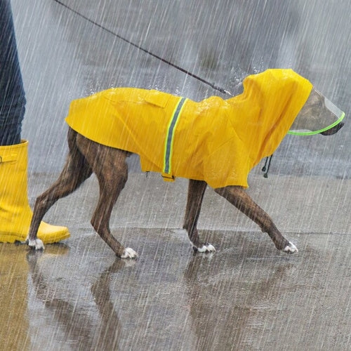 Waterproof Large Dog Raincoat Reflective Dog Rain