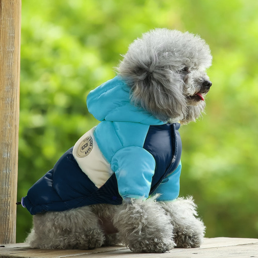 Winter Warm Dog Clothes Pet Down Jacket Puppy Coat