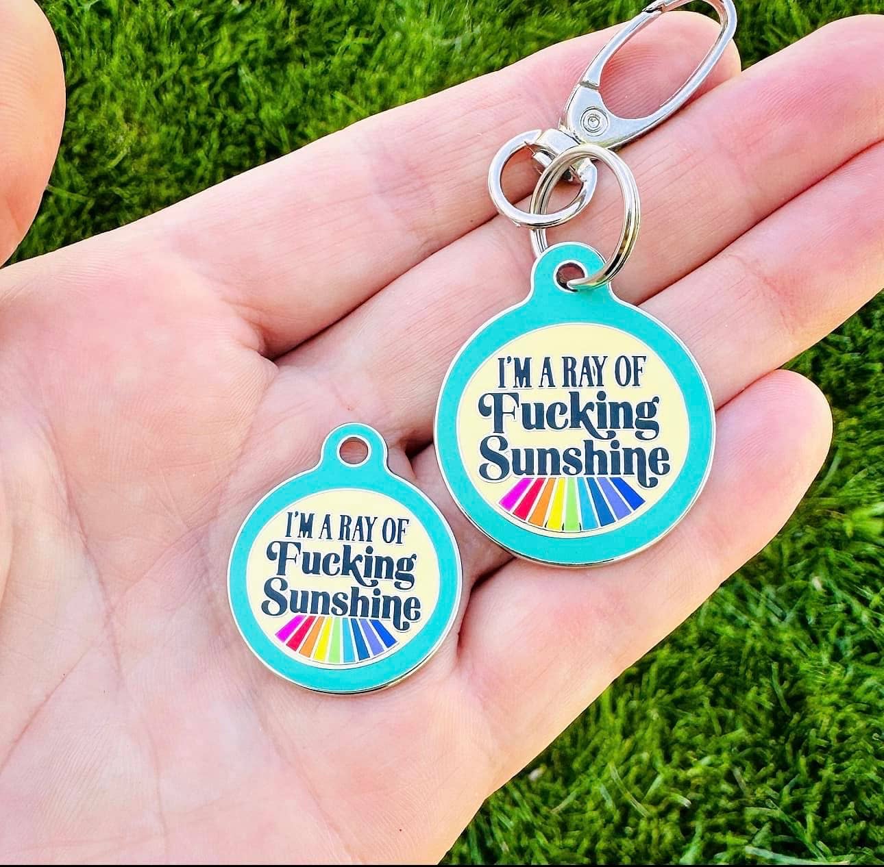 Dog ID Tag with Personalized QR - Ray of Fucking Sunshine: Large / Teal / Collar Charm (Blank Backside)