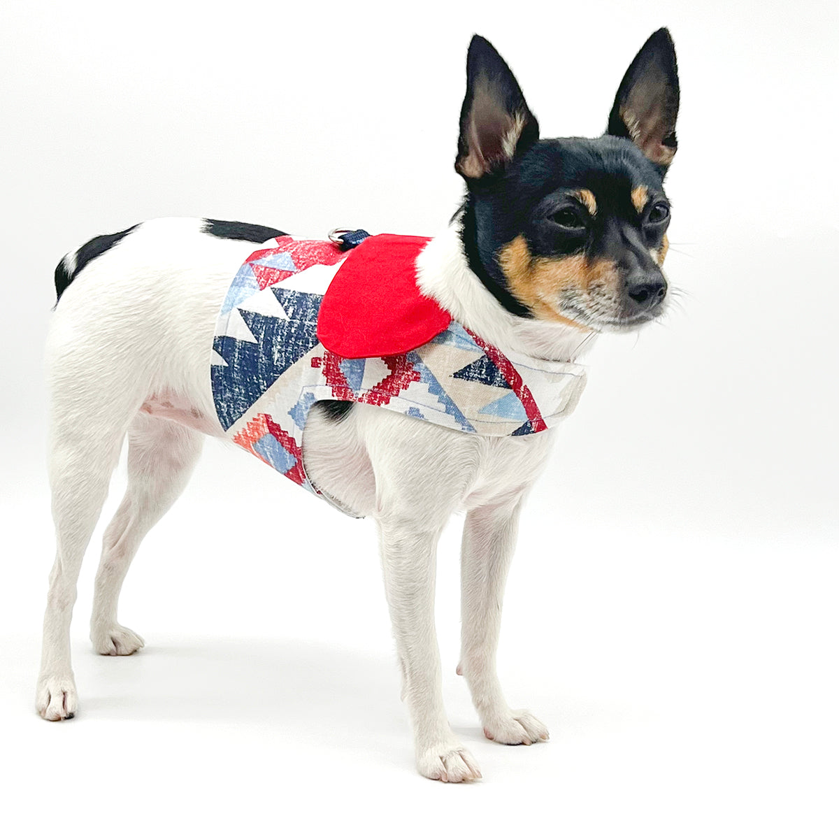 DCNY “Americana” Vest-Style Harness-1