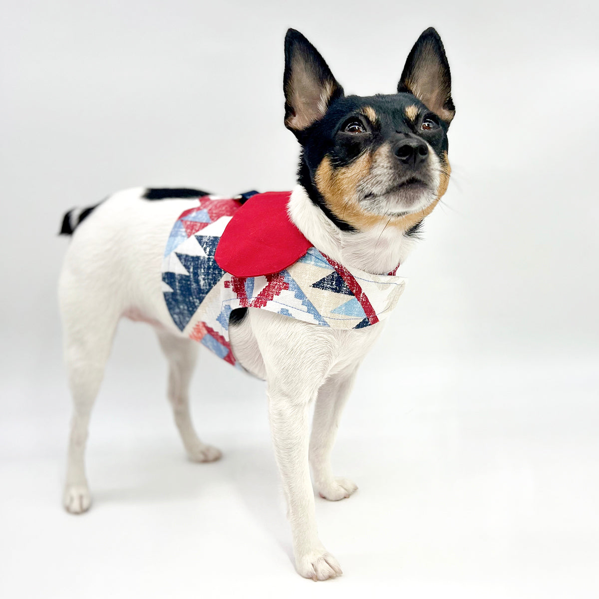 DCNY “Americana” Vest-Style Harness-0