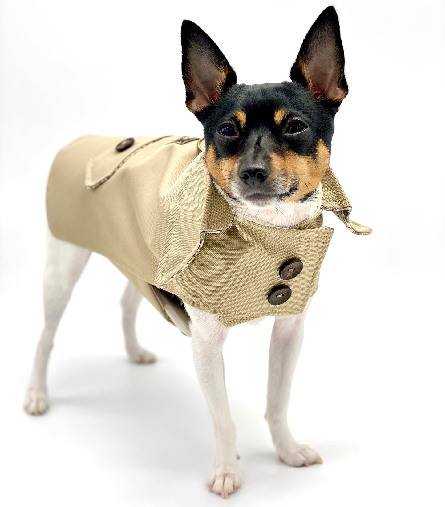 DoggieCoutureNY Classic Trench Coat - Beige-2