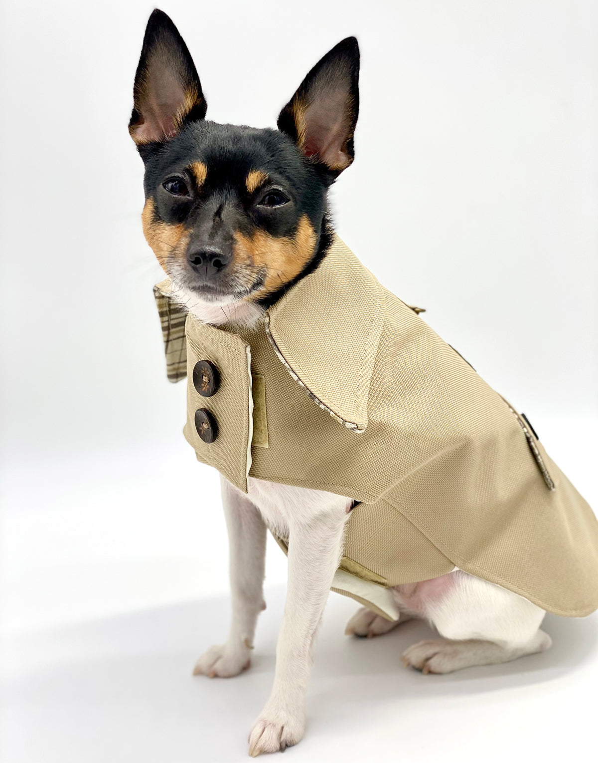 DoggieCoutureNY Classic Trench Coat - Beige-3