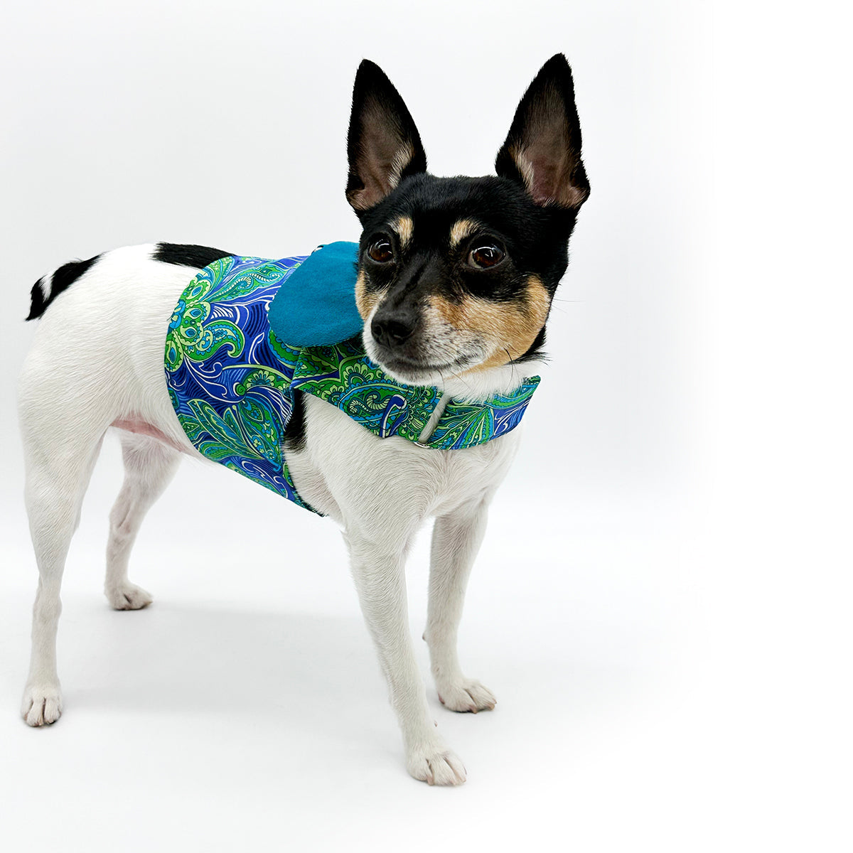 DCNY “Paisley Paws" Harness Vest-2