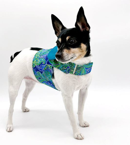 DCNY “Paisley Paws" Harness Vest-0