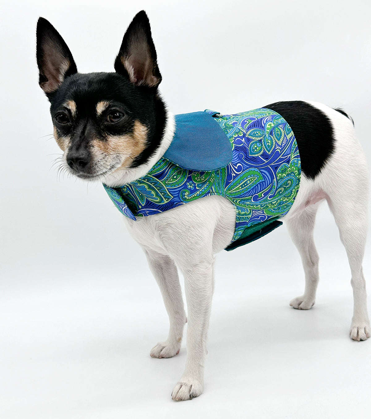 DCNY “Paisley Paws" Harness Vest-1