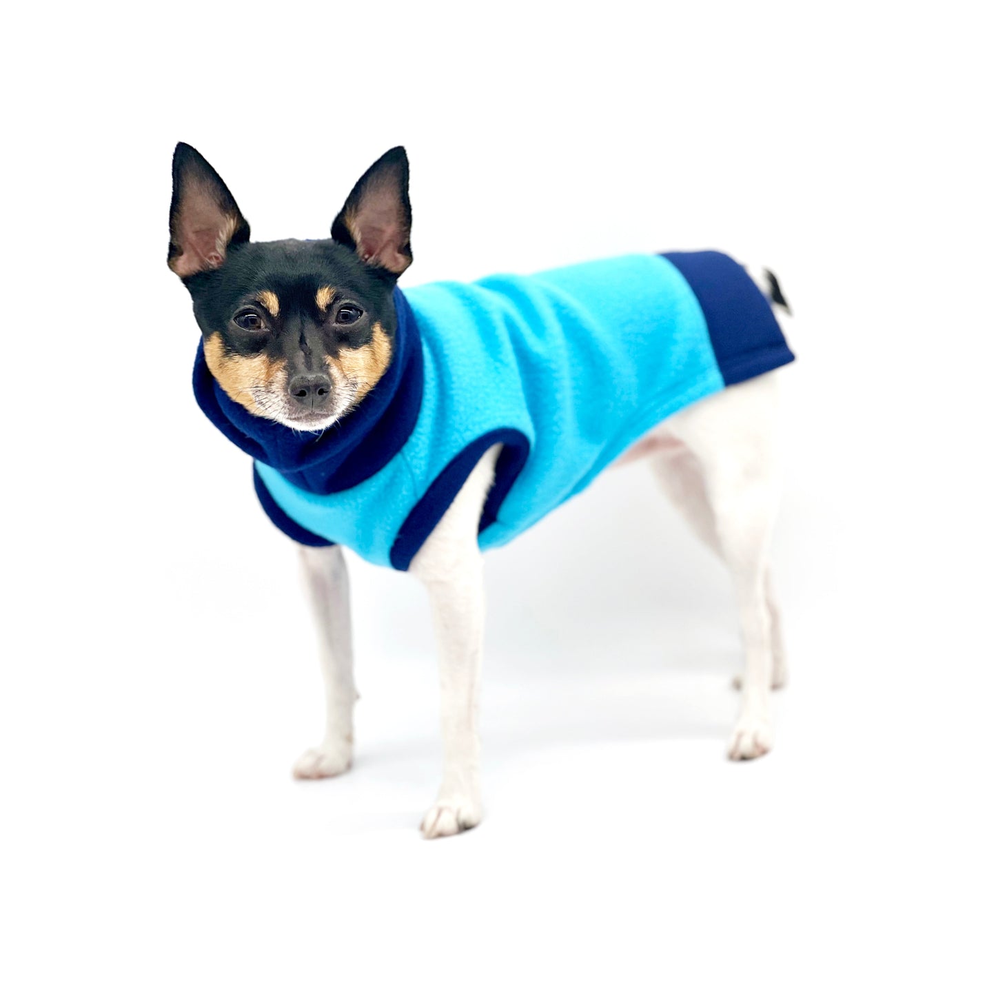 DCNY Two Tone Blue Longneck Sweater-4