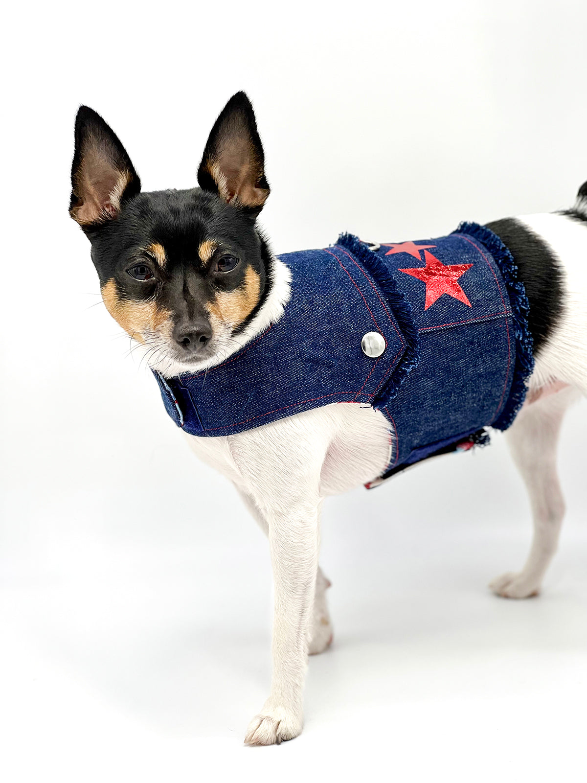 DCNY “Stars & Denim” Vest-Style Harness-3