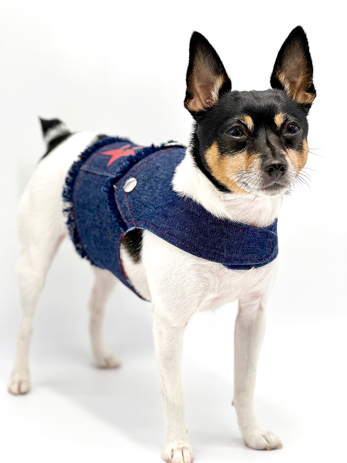 DCNY “Stars & Denim” Vest-Style Harness-4