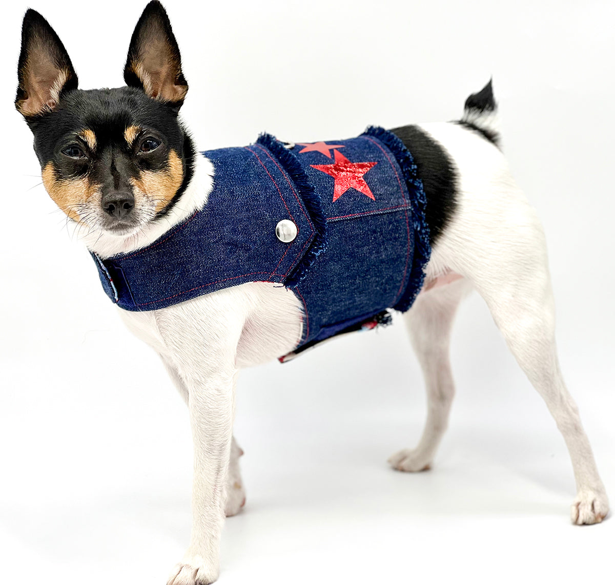 DCNY “Stars & Denim” Vest-Style Harness-2