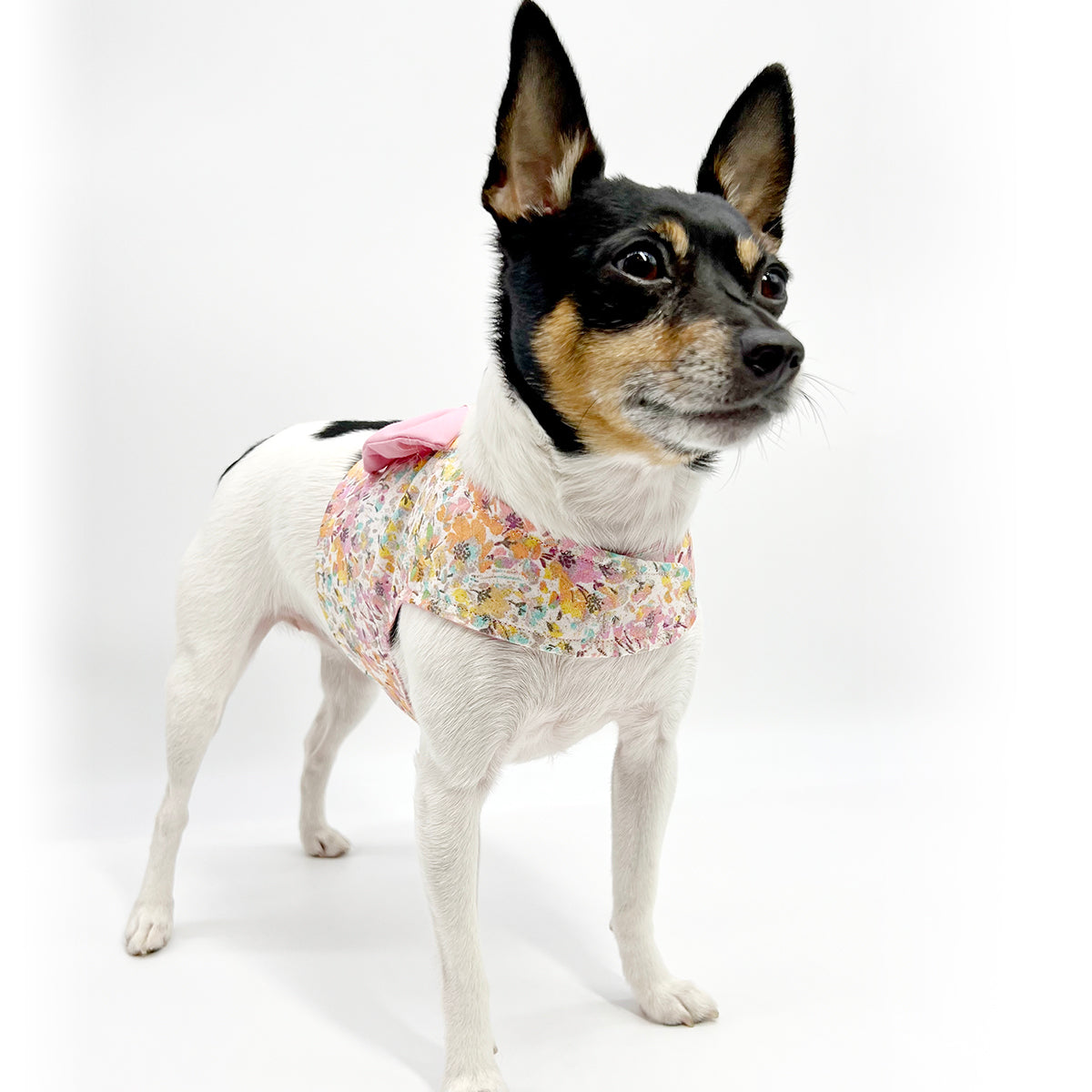 DCNY Pretty in Pink Princess Vest-Style Harness with Bow-3