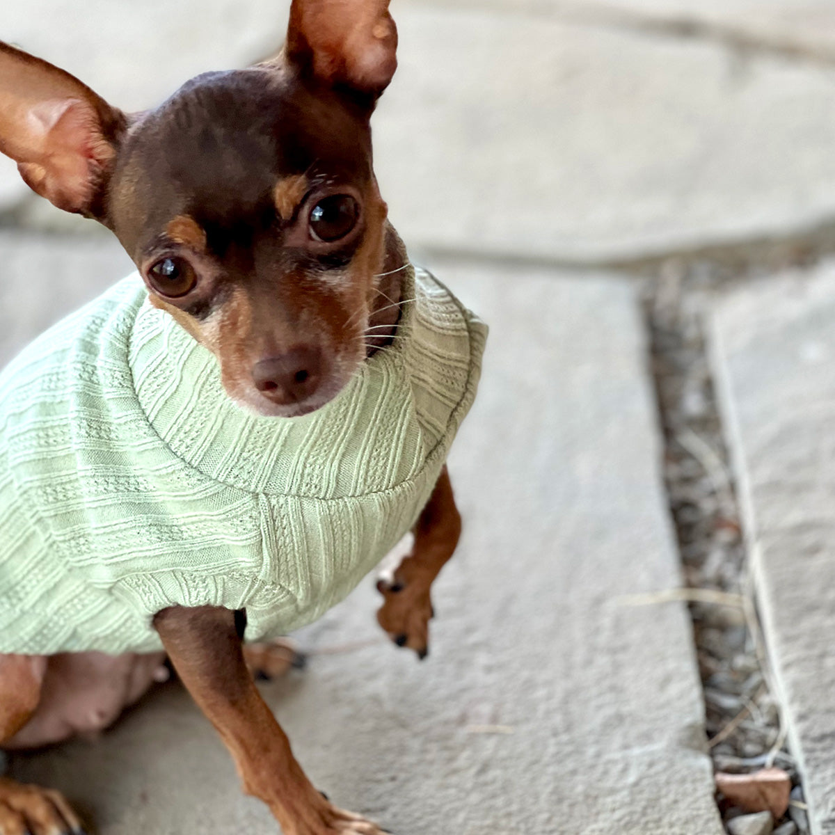 DCNY Mock Neck Sleeveless Sweater Tank - Mint-4