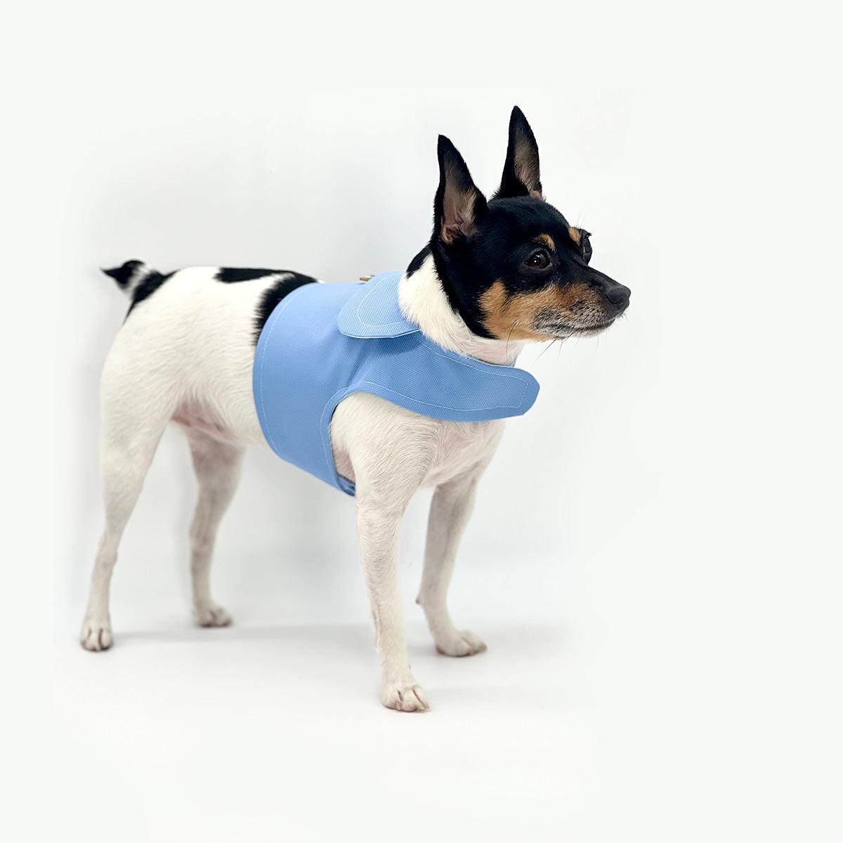 DCNY Periwinkle Harness Vest-4