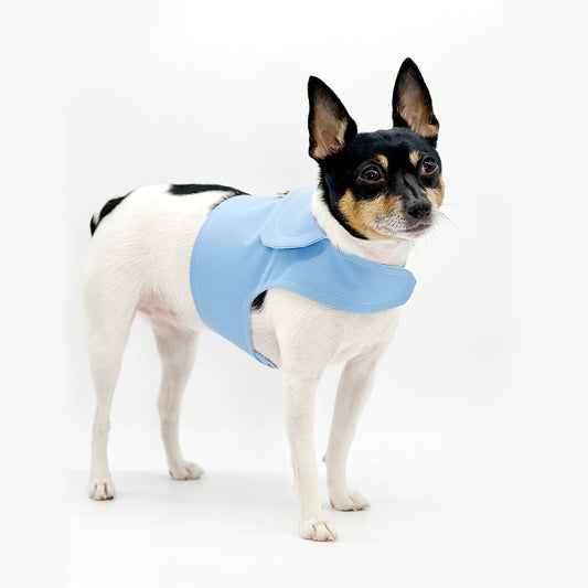 DCNY Periwinkle Harness Vest-0