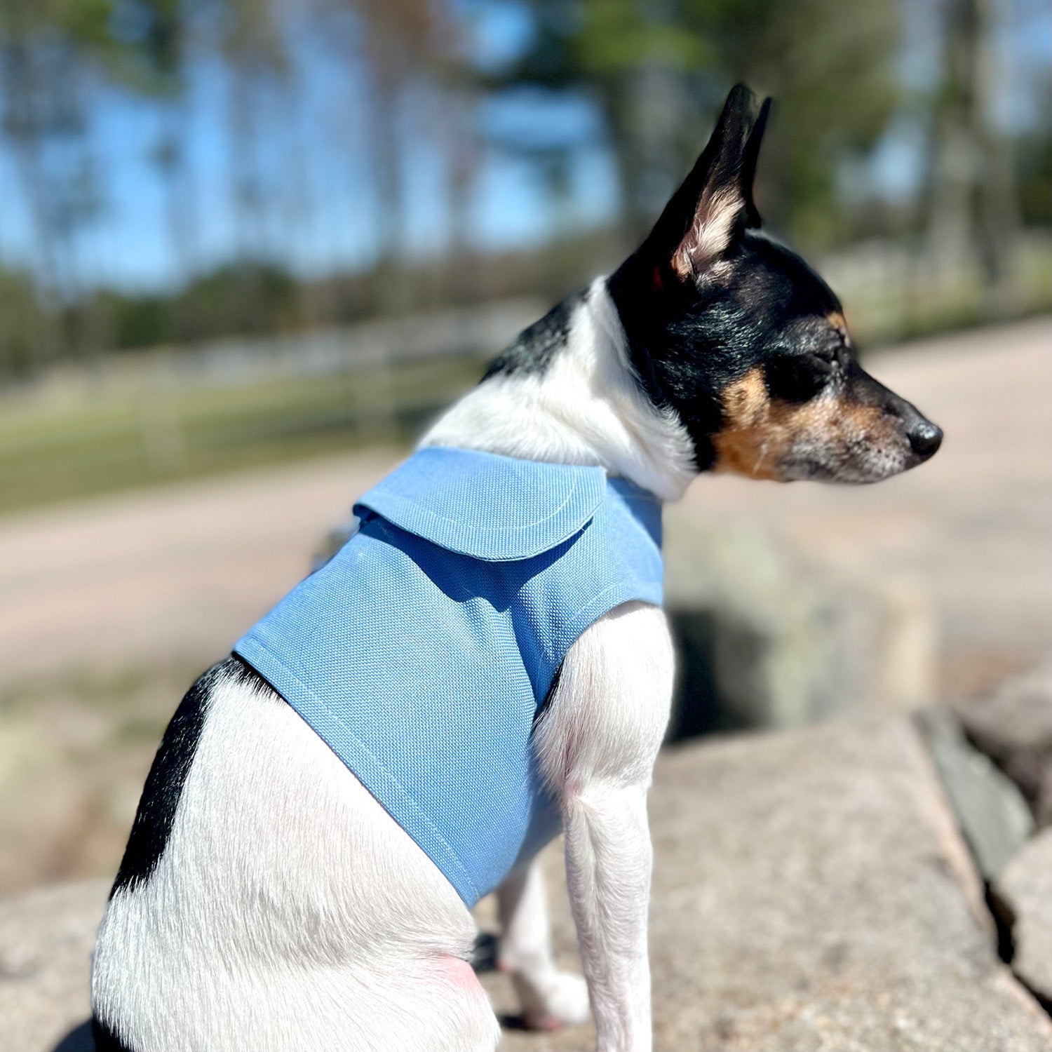 DCNY Periwinkle Harness Vest-2