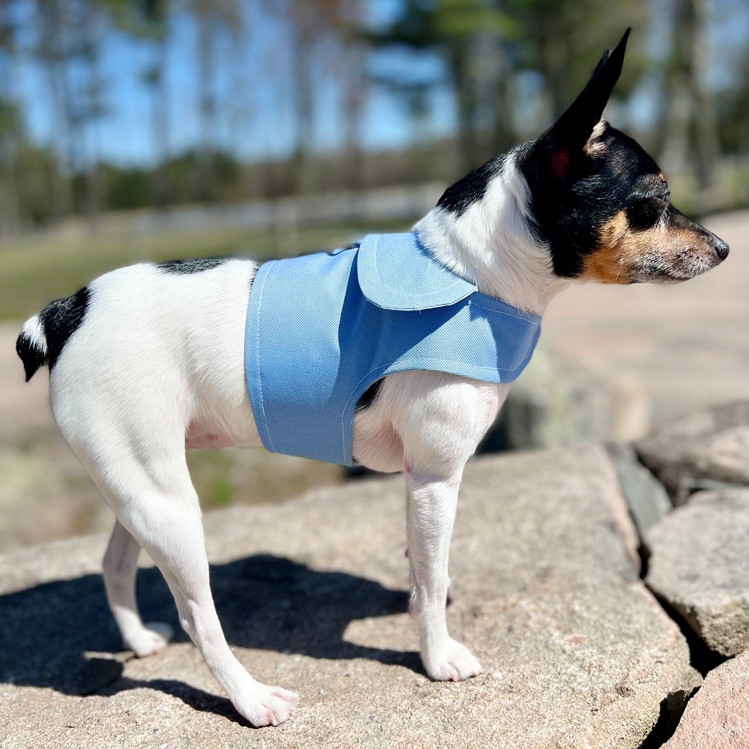 DCNY Periwinkle Harness Vest-1