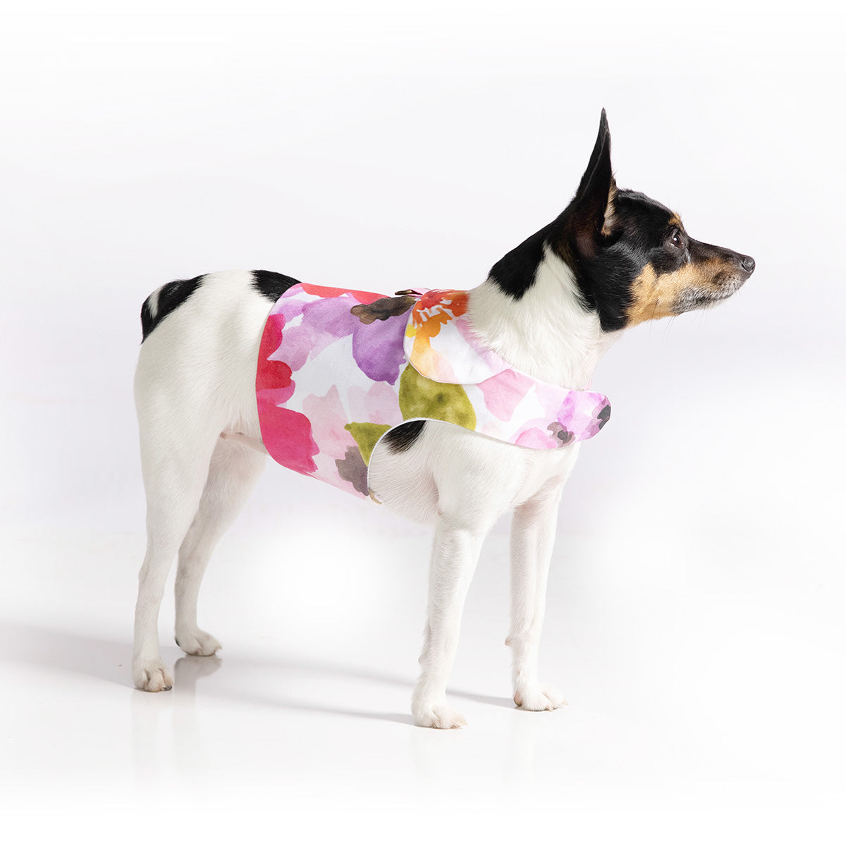 DCNY “Fine Art Frolic” Pink Vest-Style Harness-0