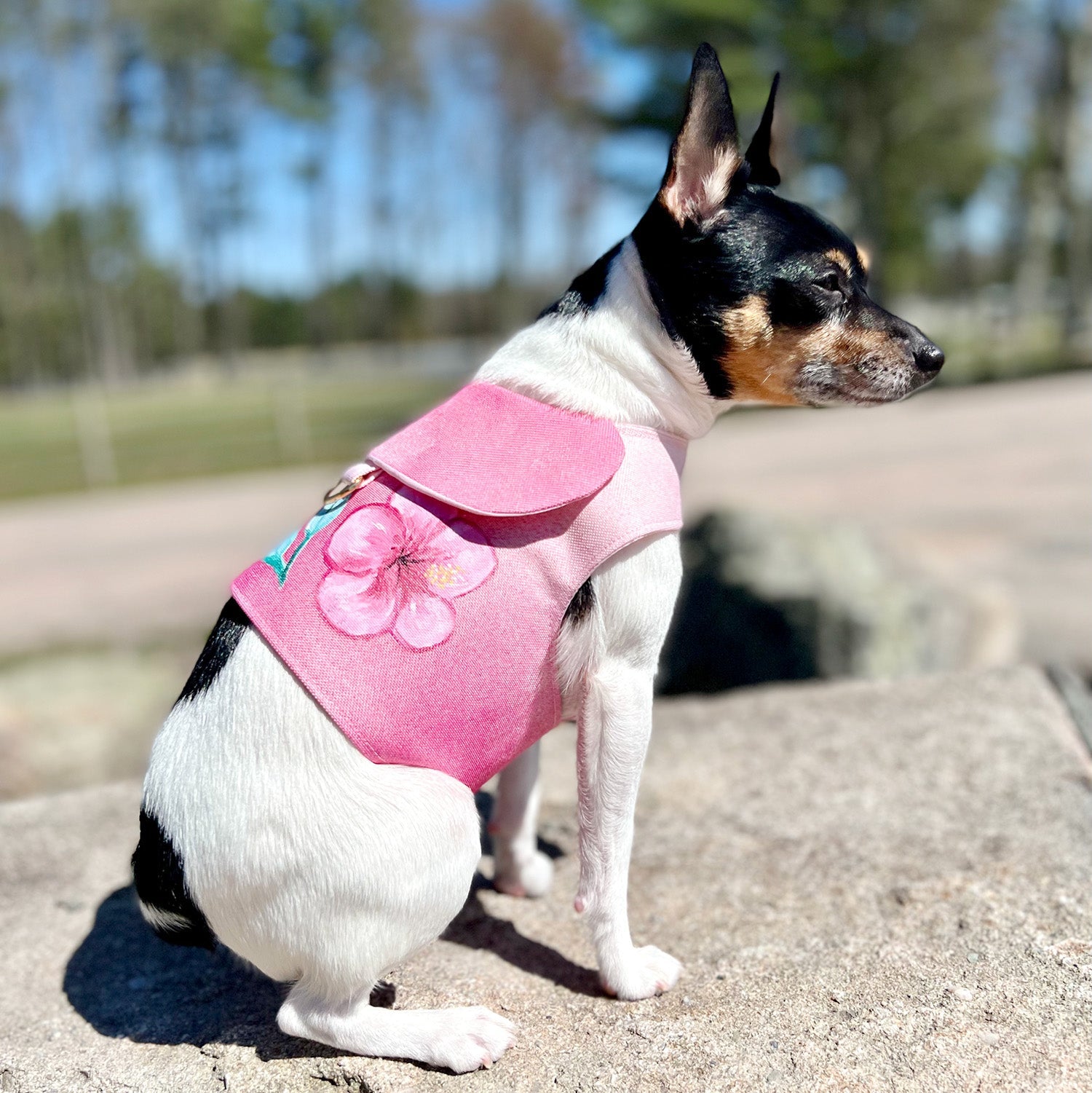 DCNY “Spring Blossoms 2” Vest-Style Harness-1