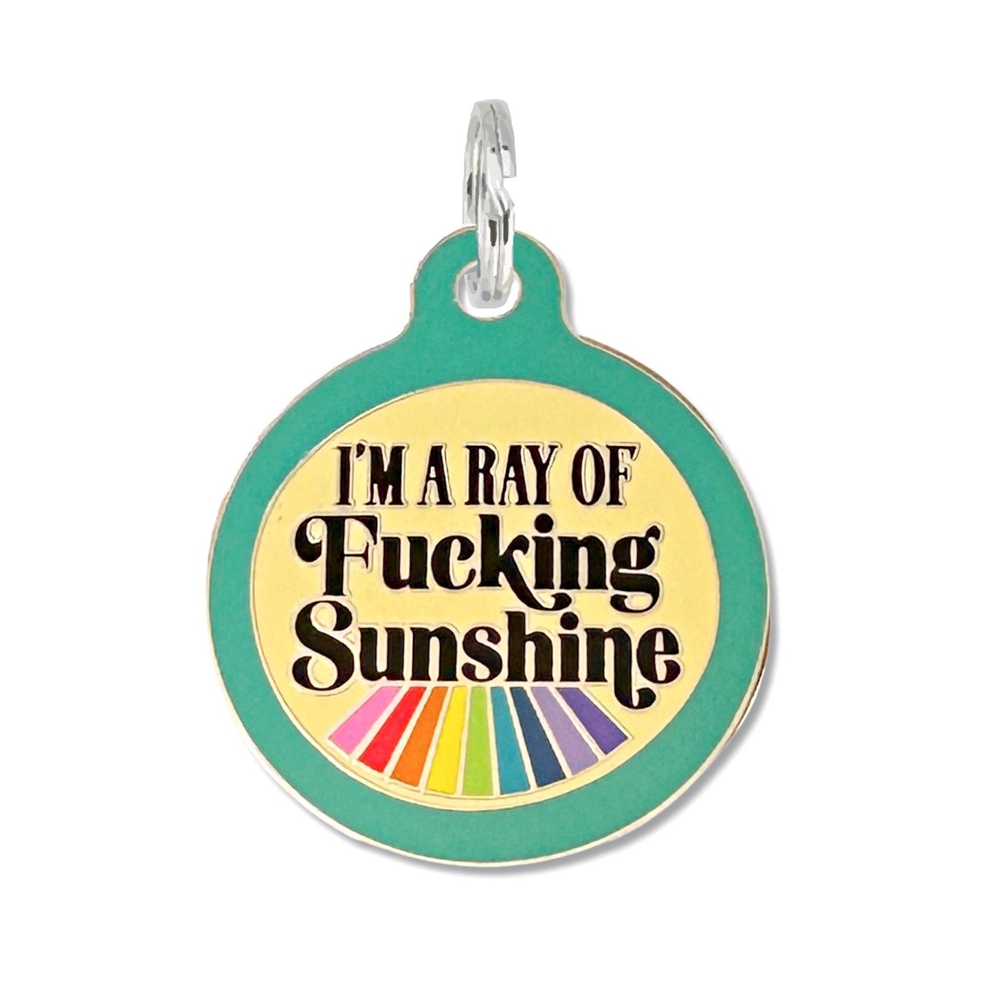 Dog ID Tag with Personalized QR - Ray of Fucking Sunshine: Large / Teal / Collar Charm (Blank Backside)