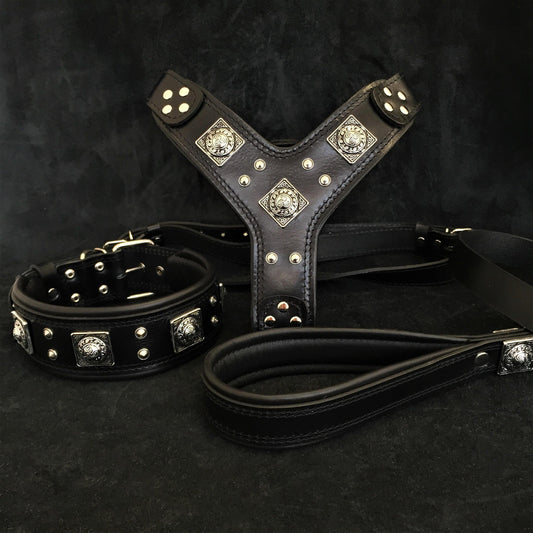 "EROS" BIG dog SET- Harness - collar - lead. All Black-0