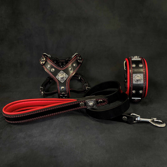 "EROS" Small to Medium dog SET - Harness - collar - lead Black&Red-0