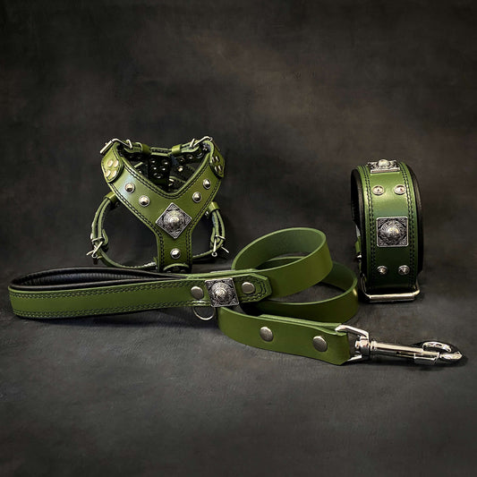 "EROS" Small to Medium dog SET - Harness - collar - lead. Green-0