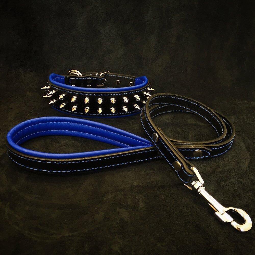 "Frenchie" Set- collar & leash. Blue-0