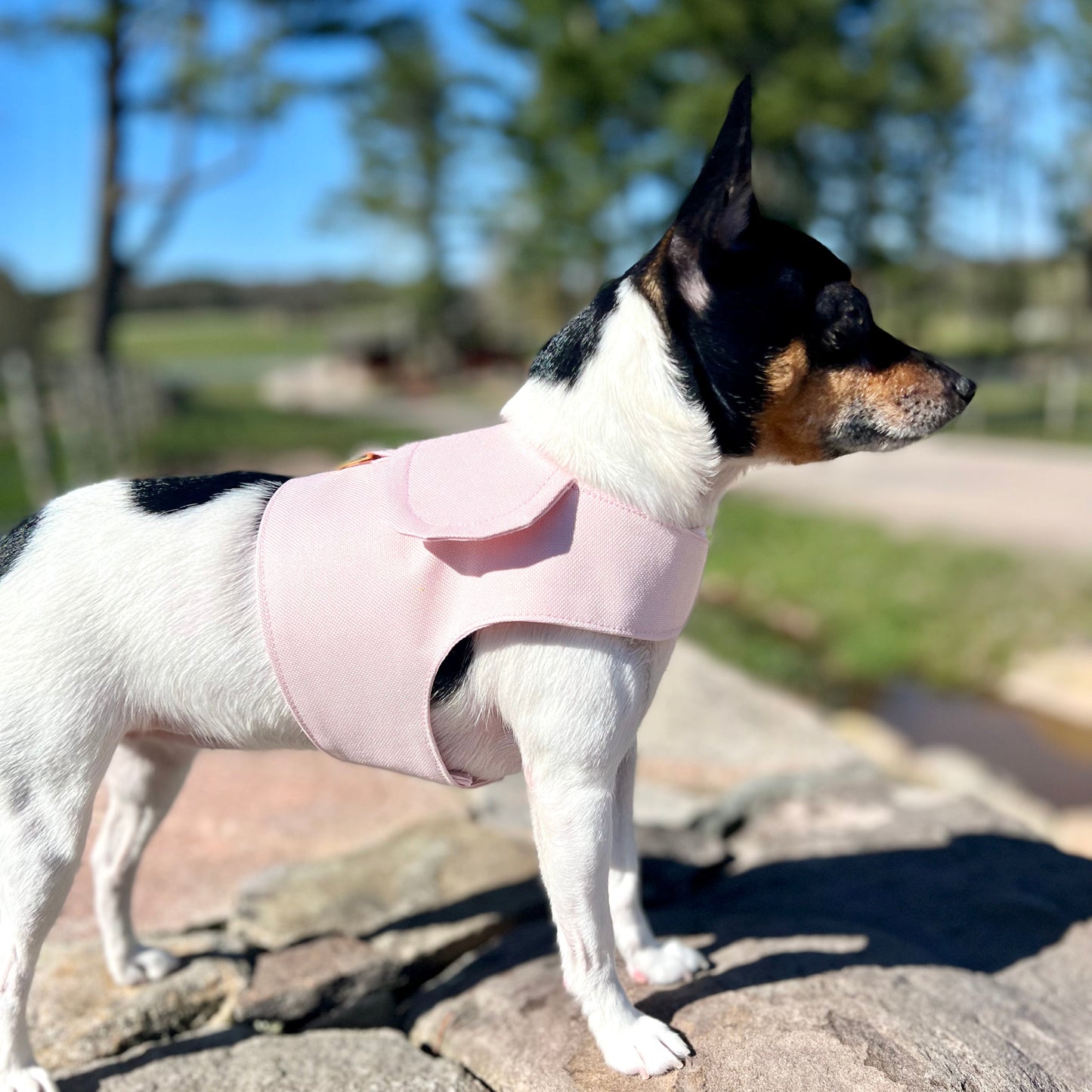 DCNY Blush Pink Harness Vest-0