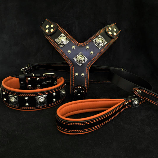 "EROS" BIG dog SET- Harness - collar - lead. Black & Orange-0