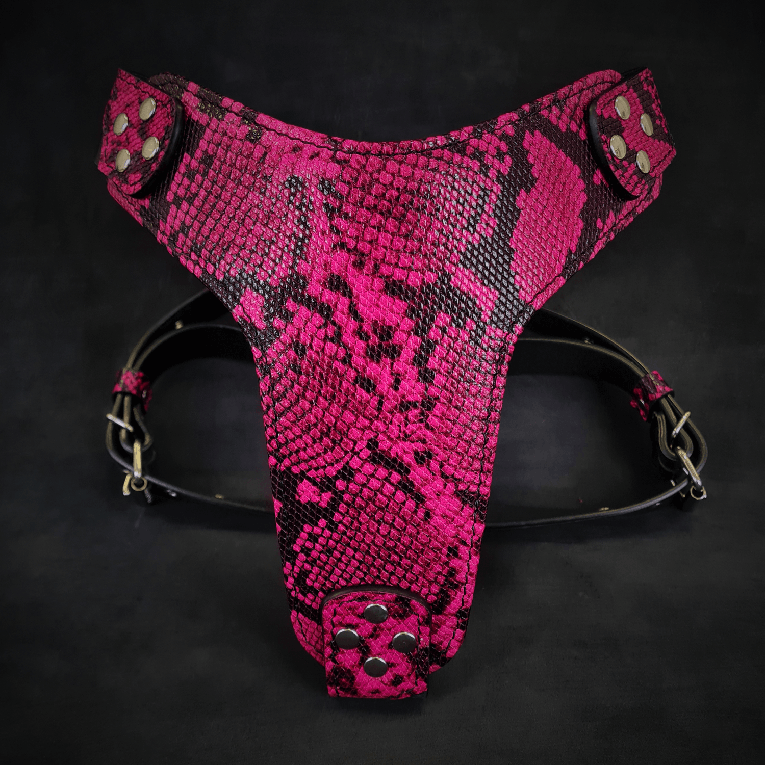 The ''Rock Python'' harness PINK-0