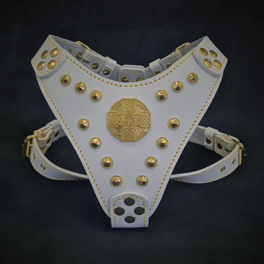 The ''Maximus'' harness White & Gold Small to Medium Size-0